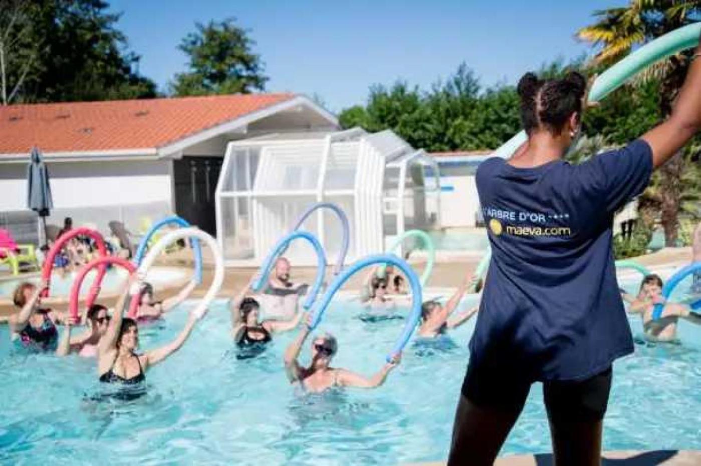 Campsite 4 Etoiles - Piscine - Eebife Parentis-en-Born